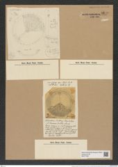 Aulacodiscus rattrayi Grove et Sturt (de-Toni-Nr.: Genus 182, Species 4562) Zeichnungen Sammlung Grunow Nr. 8180 (NHMW-BOT-W0377555)